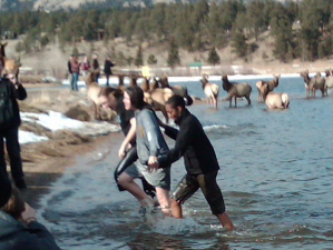 Elk Baptism