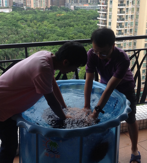Baptism in China