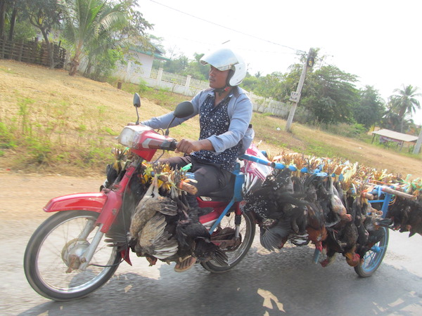 John Oakes Southeast Asia 2