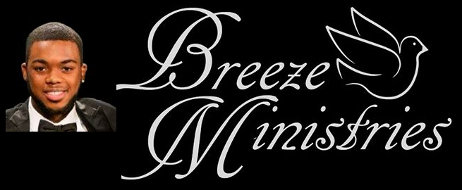 BREEEEZE Logo