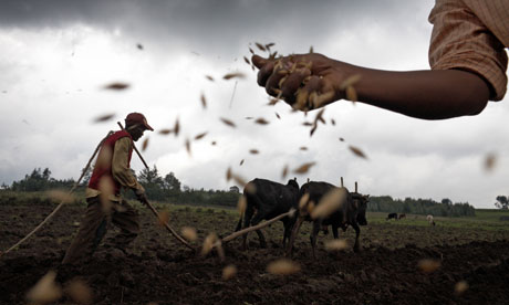 Sowing