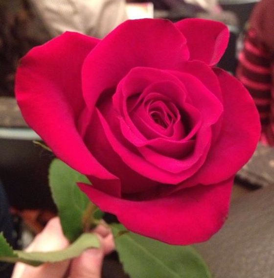 flower