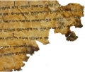 The Relevance of the Dead Sea Scrolls